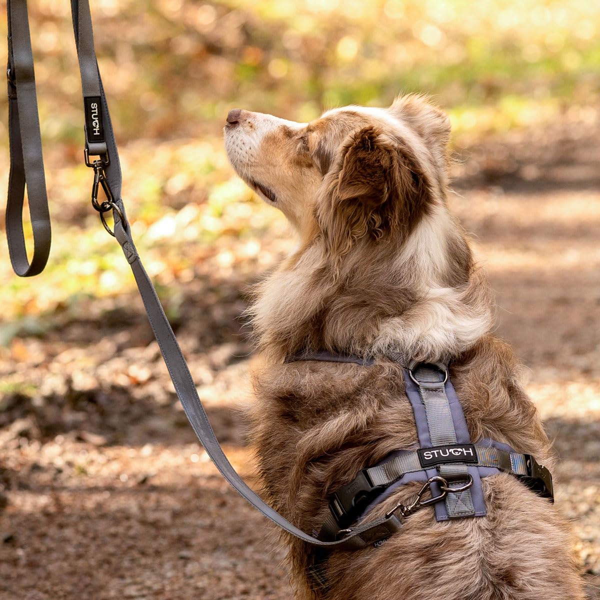 STUCH Arnés para perros – Arnés ajustable de nailon – acolchado – para perros pequeños, medianos y grandes (rojo, XS)