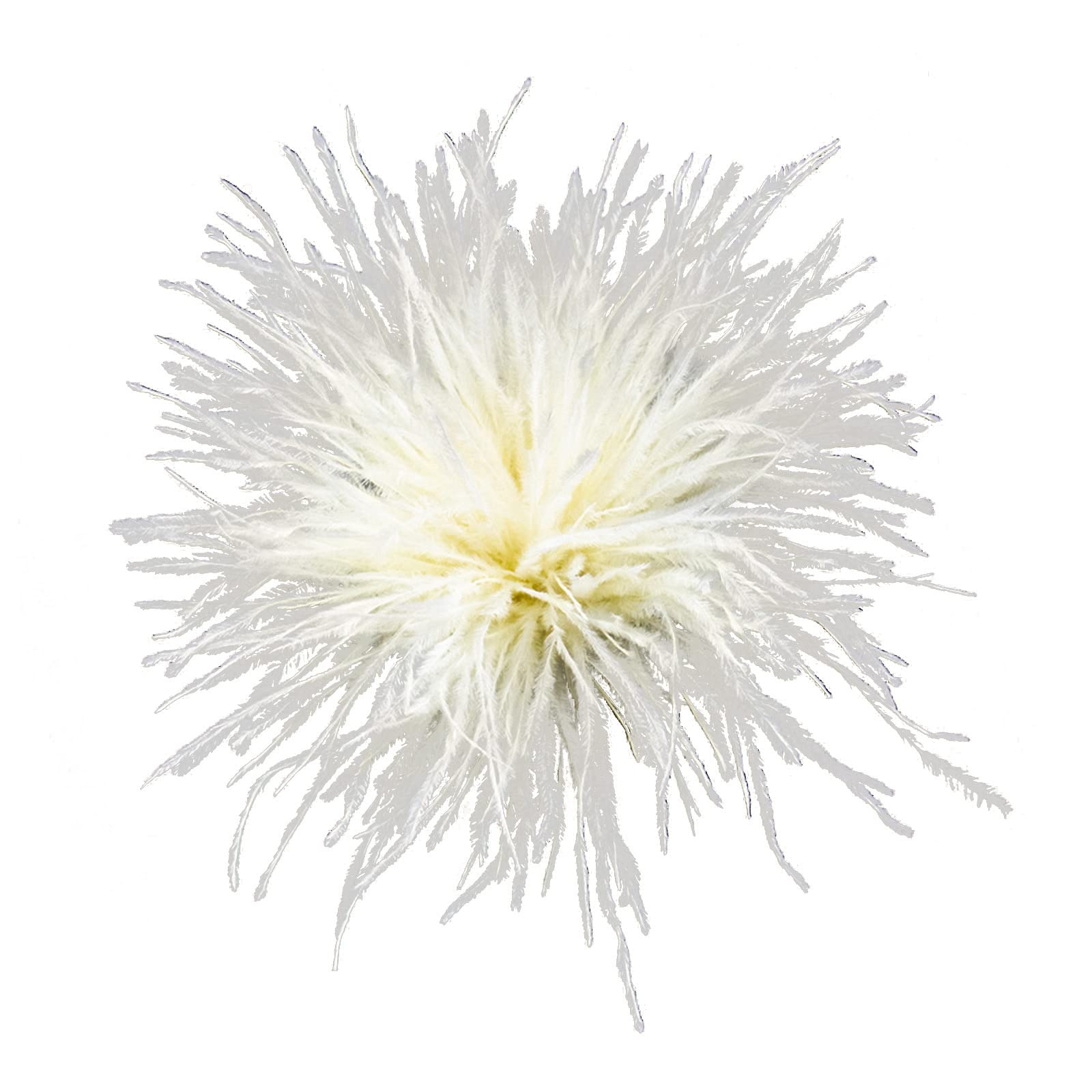Gereiny Men's Cream Color Feather Brooch Feathers Corsages Cloth Decorations Ostrich Feather Material Brooch Pins Feather Lapel Pins For Woman