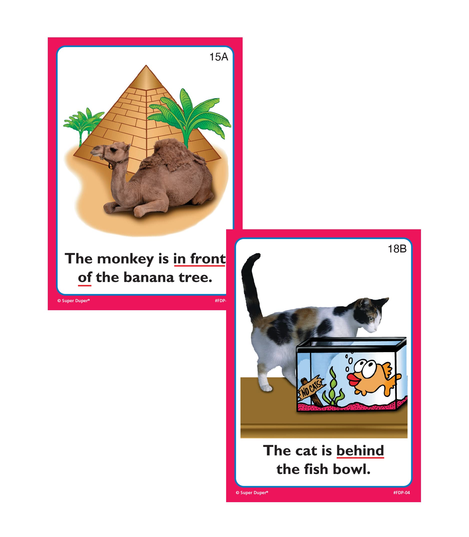 Pirate Theme Grammar Cards Pirates & Pals Preposition Flash Cards - 56 ...