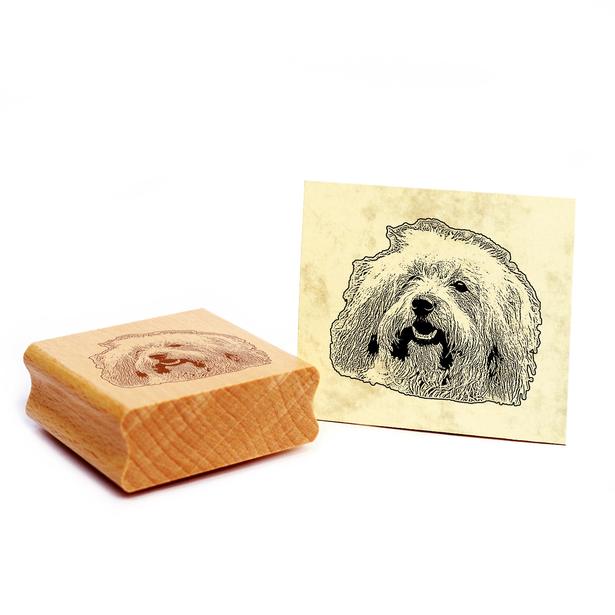 Dekolando Motif Stamp Coton de Tuléar Dog Wooden Stamp 48 x 42 mm — image 1