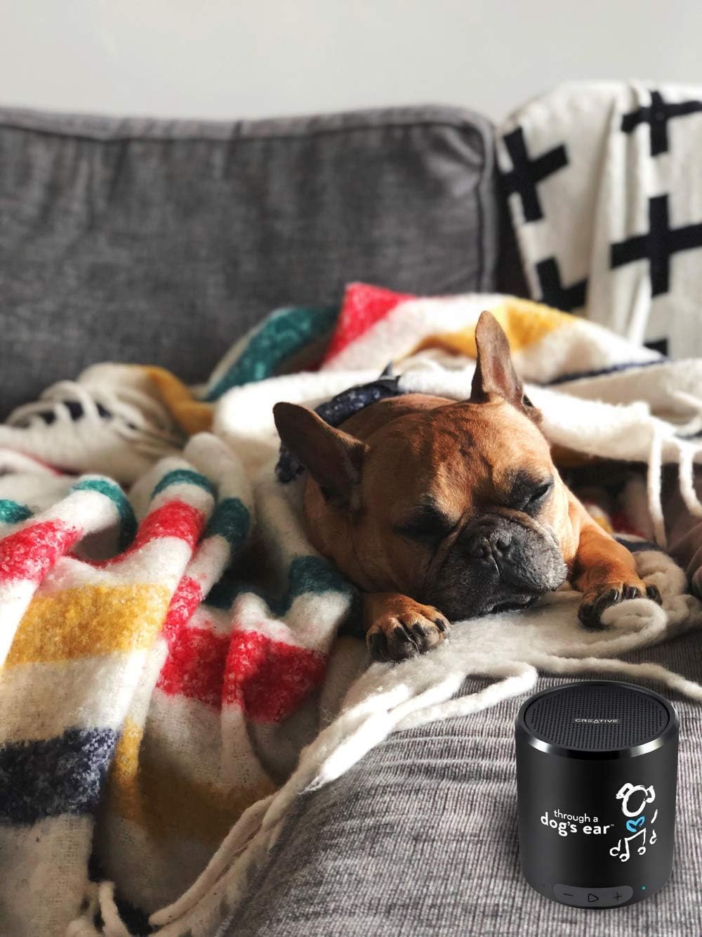 Discount iCalmDog 5.0b Bluetooth Speaker + 3-hrs Clinically-Tested Classical Dog Calming Music: Through a Dog's Ear | Your Proven Canine Anxiety Solution