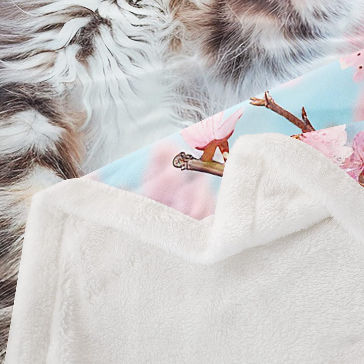 Cute Cat Fleece Throw Blanket Girly Pink Flowers Sherpa Blanket for Kids Adult Lovely Pet Cat Plush Blanket 3D Animal Theme Fuzzy Blanket for Sofa Bed Couch Kawaii Kitten Room Decor Twin 60x80 Inch