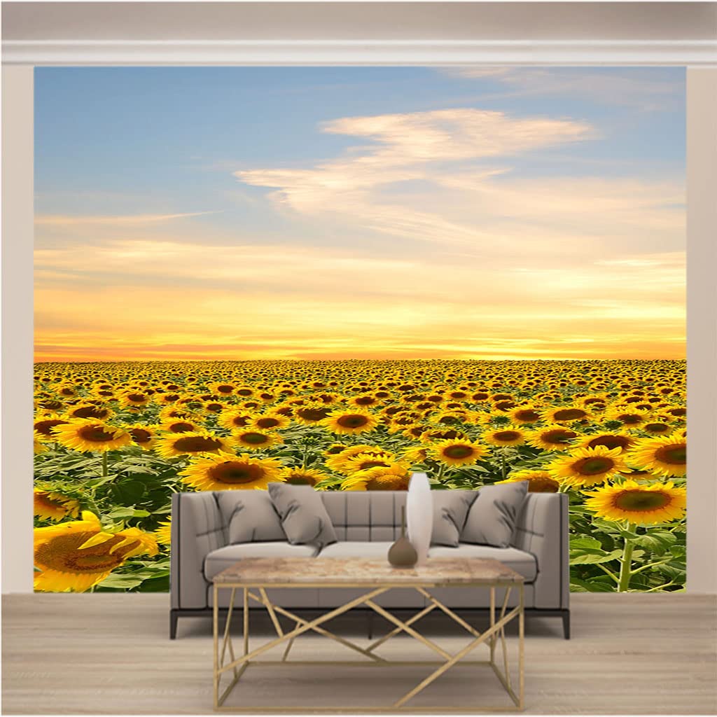 Papier peint panoramique xxl tournesol avec effet trompe l'oeil 3d pour décoration chambre