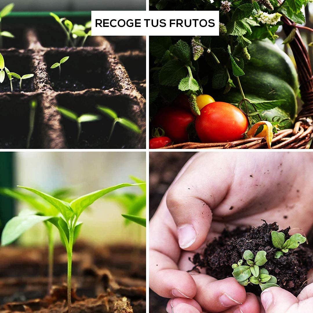 PLANTAWA Kit de Cultivo, Huerto Urbano para Plantar en Casa, Kit de Cultivo Completo, con Semillas de Plantas de Interior, Fabricado en España, Ecológico, Mini huerto niños