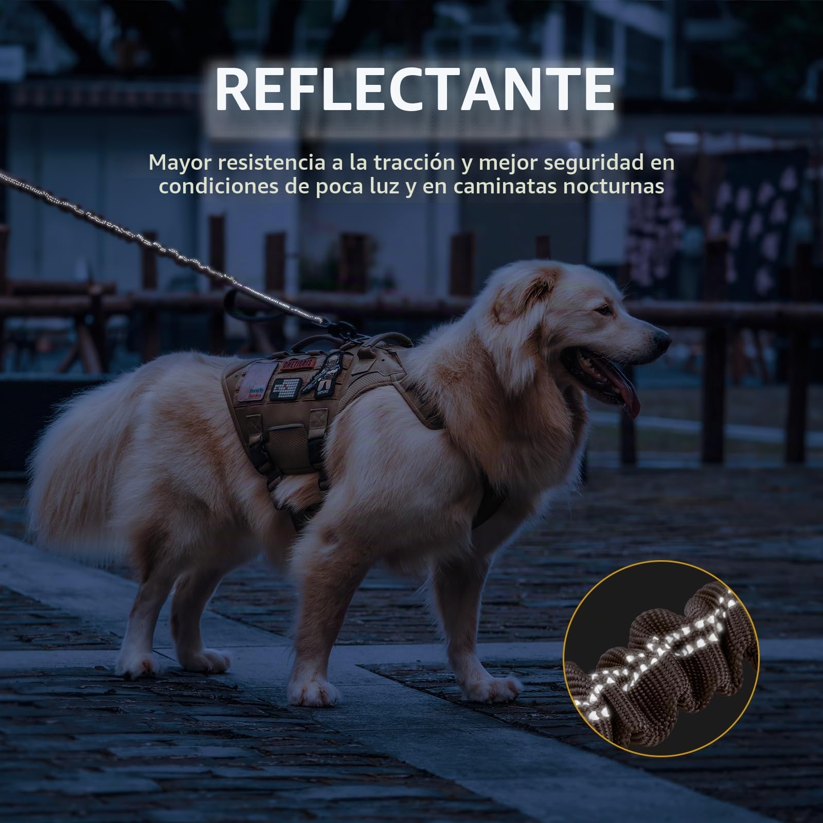 OneTigris Correa para Perros de 152 a 188 cm