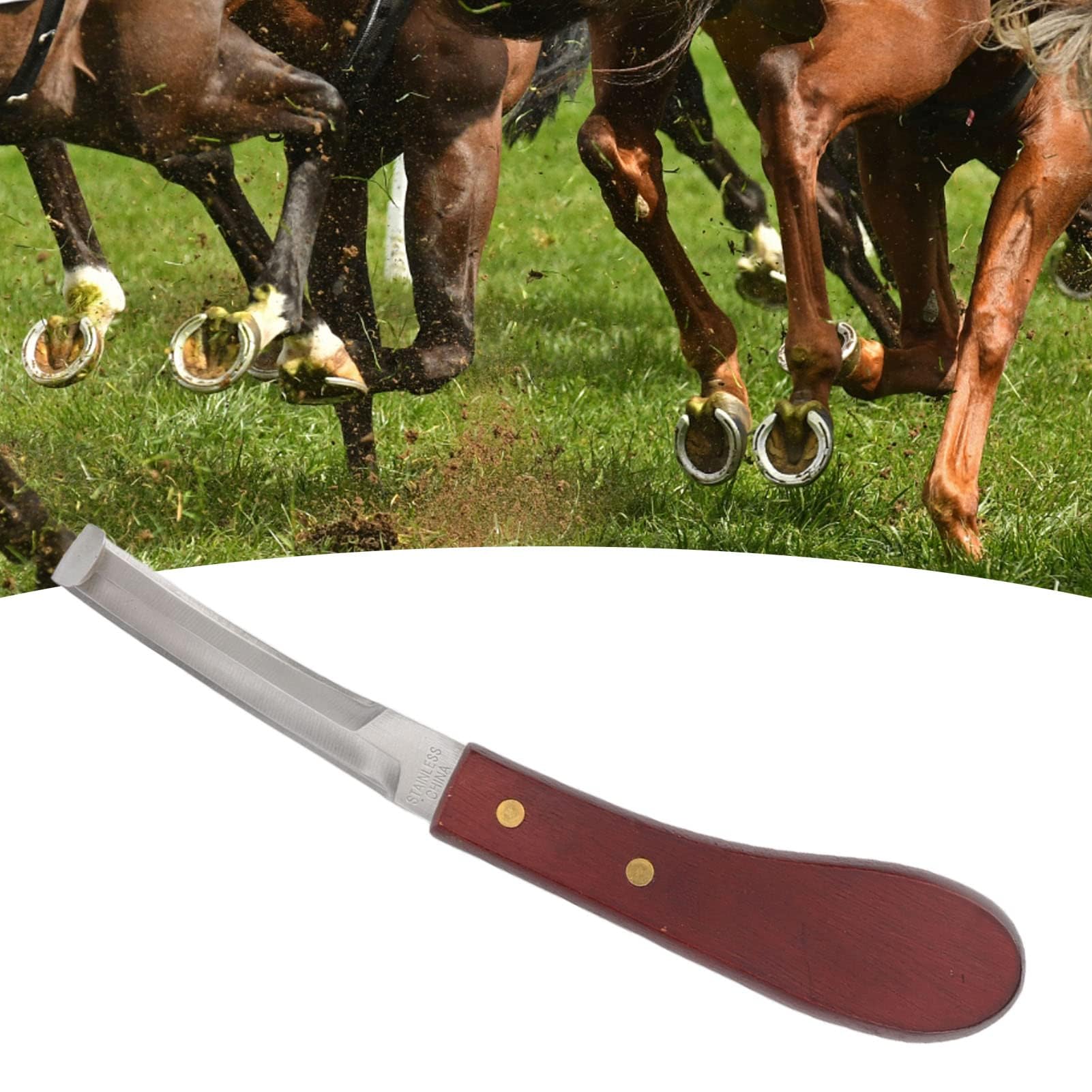 Zerodis Rasoio per Coltello per Zoccolo, Lama a Doppia Faccia in Acciaio Inossidabile Manico Ergonomico in Legno Coltello per Zoccolo Coltello per Zoccolo Maniscalco