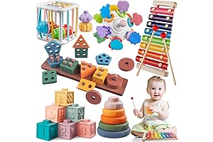 6 in 1 Montessori Toys for 9-12 Months Baby