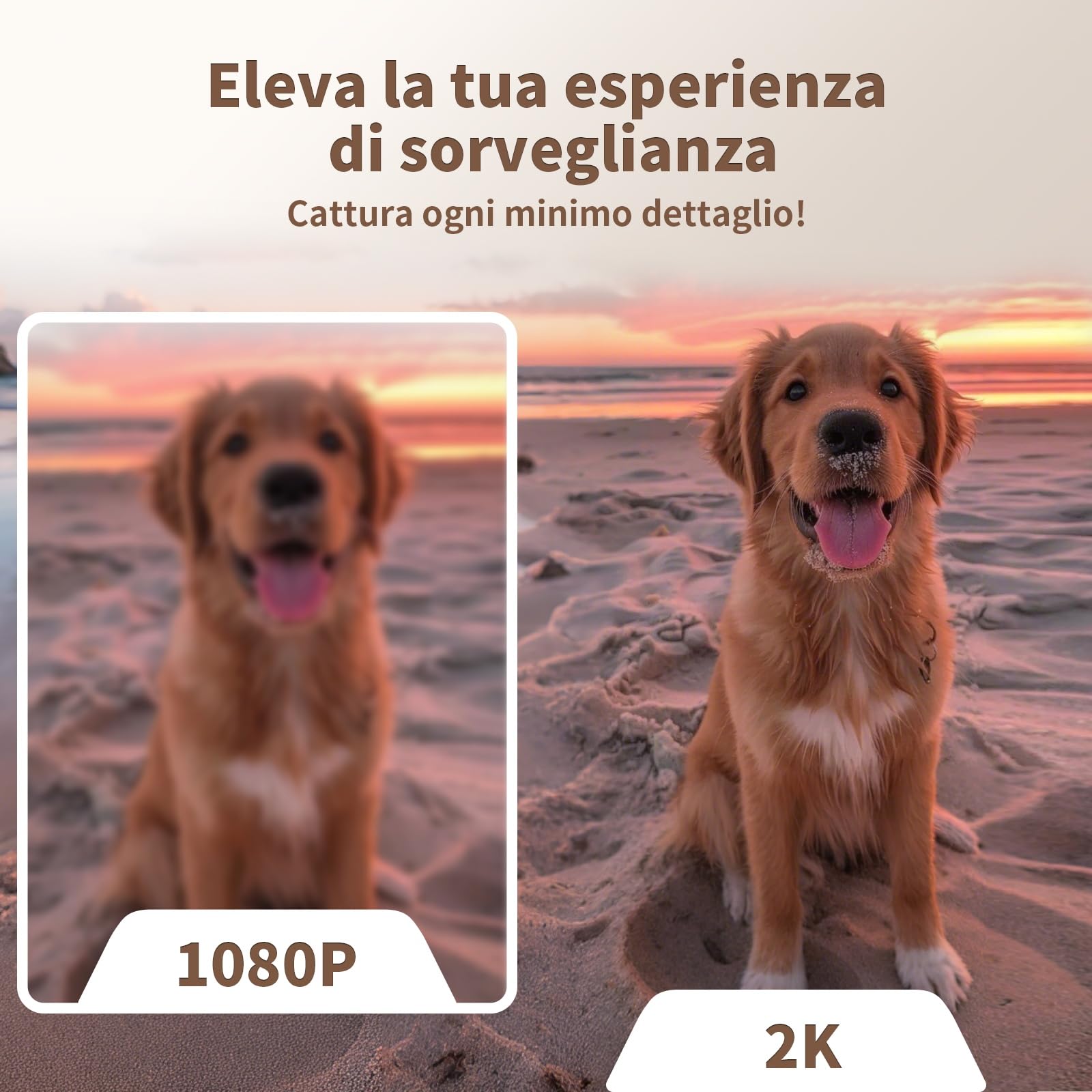 Alaga Telecamera di Sicurezza Interna 2K, Rilevamento AI di Persone e Animali, Wi-Fi 2.4/5 GHz, Rotazione 360°, Visione Notturna, Audio Bidirezionale, Compatibile con Alexa & Google (3 Mesi Cloud)