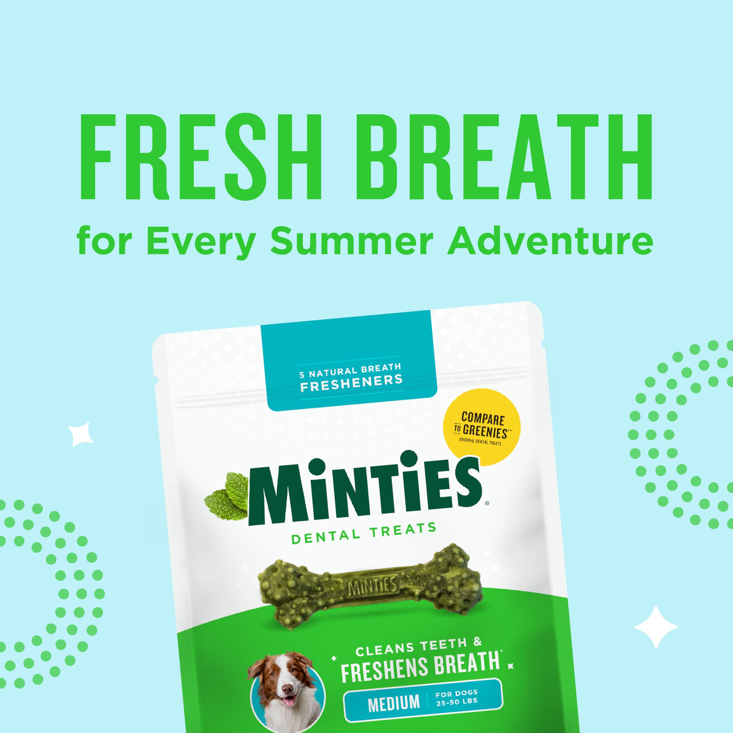Minties Masticables dentales para perros, 60 unidades, golosinas con sabor a menta recomendadas por veterinarios para perros medianos de 25 a 50 libras, los huesos limpian los dientes, combaten el mal
