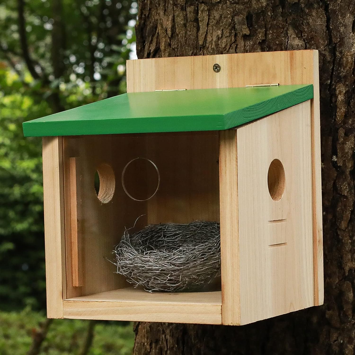 STARSWR Bird House Large Bluebird House Feeder Outdoor Mealworms Feeder for Bluebird with Viewing Window,with Easy Clean Removable Door Outside Hanging Birdhouses