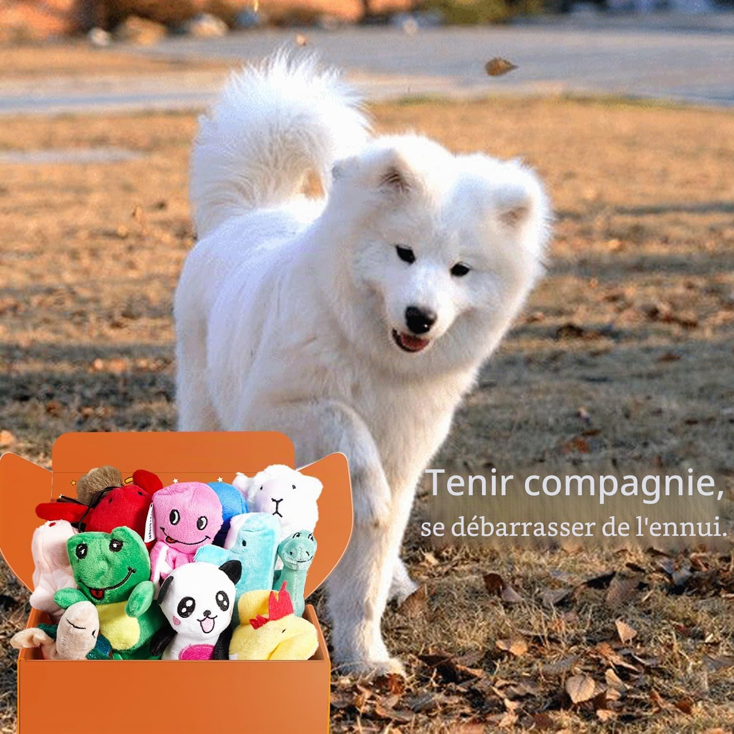 LEGEND SANDY Lot de 12 Petits Jouets couineurs en Peluche à mâcher, Mignons et Doux, pour Animaux de Compagnie, Chiots et Chiens de Petite et Moyenne Taille