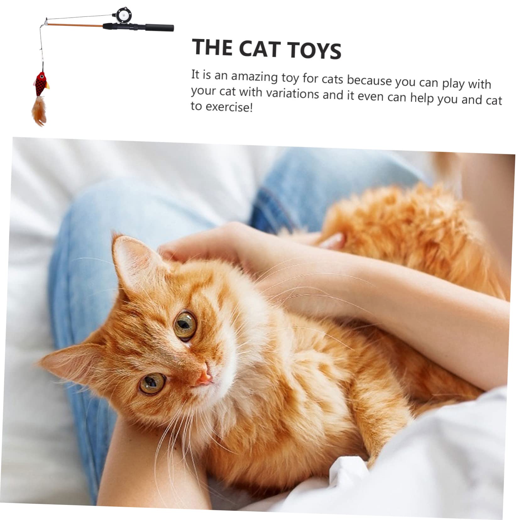 Beaupretty 3pièces Canne à Taquiner Chat Interactive avec Poisson Simulé Élastique Extensible pour Chats Amusants Et Actifs