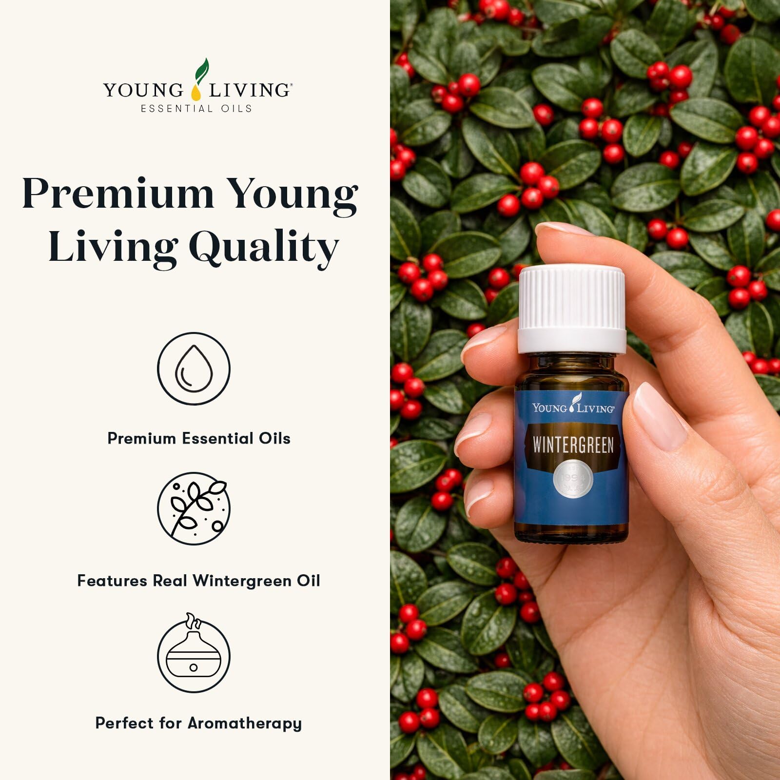 Amazon.com: Young Living Wintergreen Premium Essential Oil | 5ml