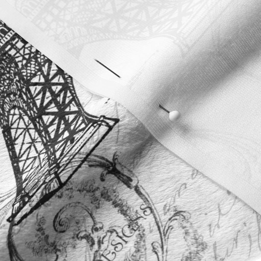 Spoonflower Fabric - Paris French Black White Victorian Printed on Minky Fabric by The Yard - Sewing Baby Blankets Quilt Backing Plush