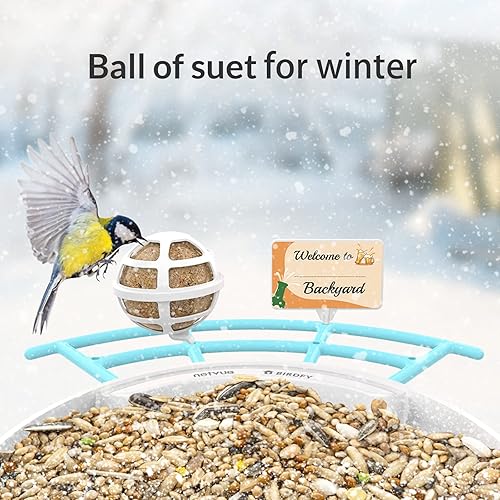 Miniatura 4 de NETVUE Birdfy Pro Perch - Percha de extensión más amplia para complementos de bricolaje, incluyendo bola de sebo, mini comedero para colibríes,