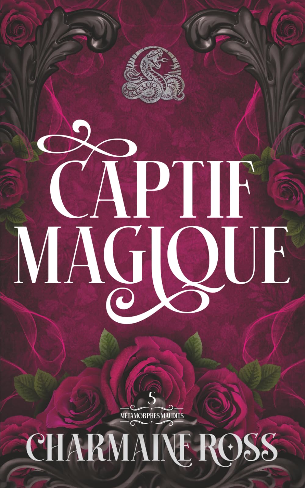 Magie Captive: Une Romance Paranormale d'Âmes Sœurs avec des Métamorphes Loups (Métamorphes Maudits)