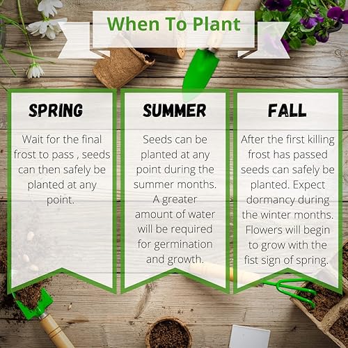 Miniatura 6 de Camas - Paquetes de semillas de flores silvestres polinizadoras - (20) recuerdos de fiesta para atraer abejas, mariposas y colibríes a tu planta y