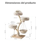 Ver la foto 3