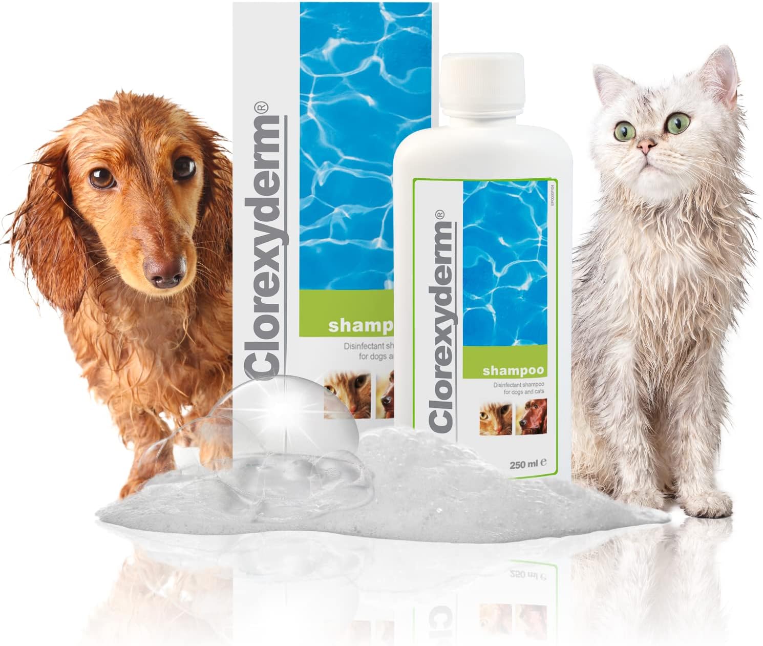 ICF – clorexiderm Shampoo