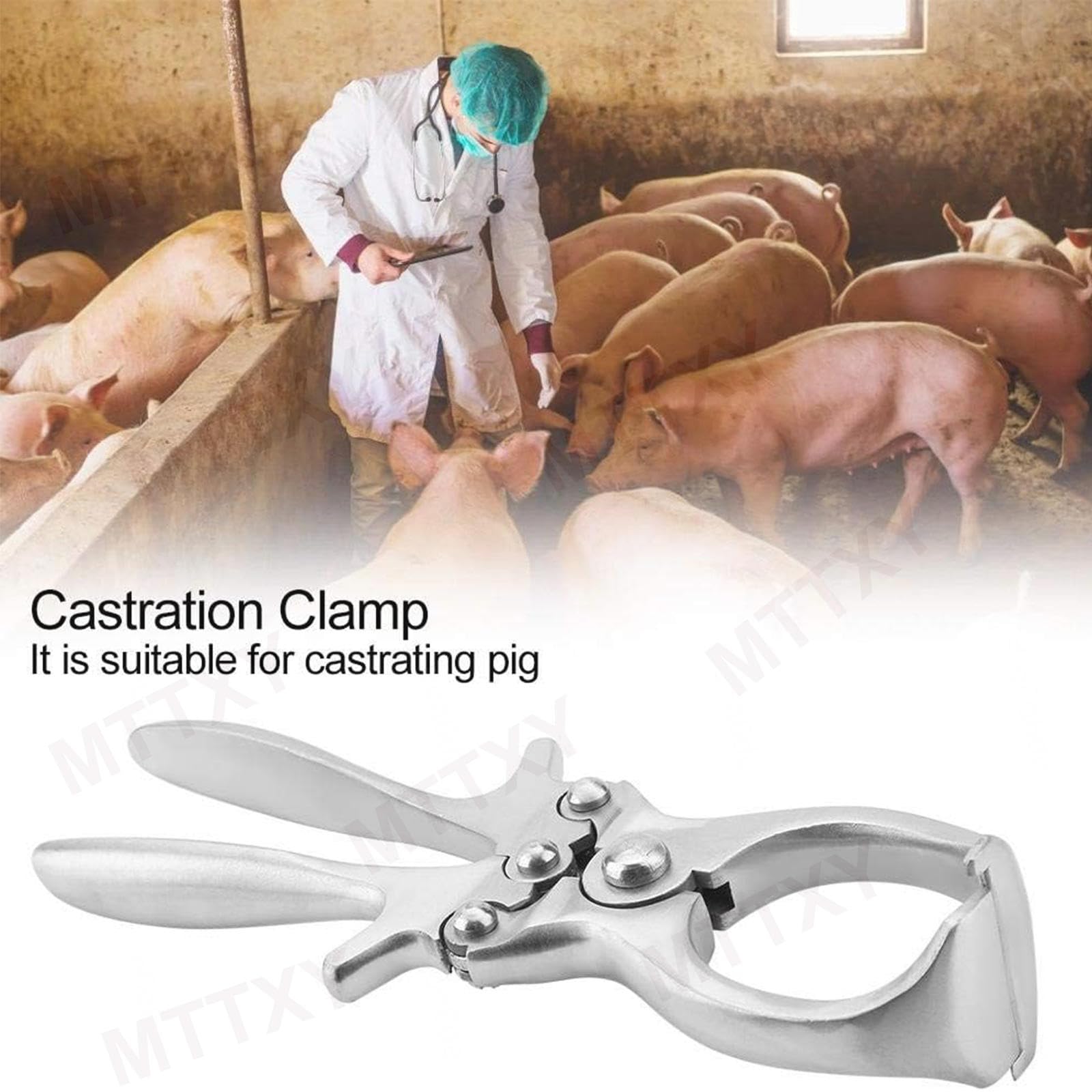 Alicates de castración de 8,66 pulgadas para cerdos, pinzas de castración de acero inoxidable, herramientas de castración para veterinarios, ganaderos y cuidadores de animales.