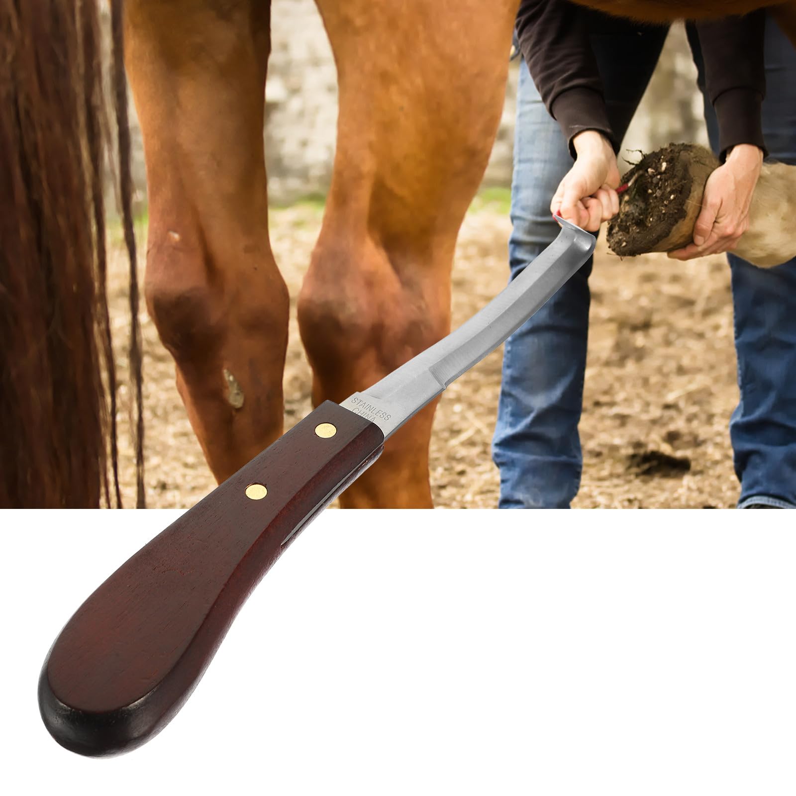 Couteau à Sabot Design Ergonomique en Acier Inoxydable Résistant à l'usure et en Bois et Parrage Précis pour Usage Quotidien