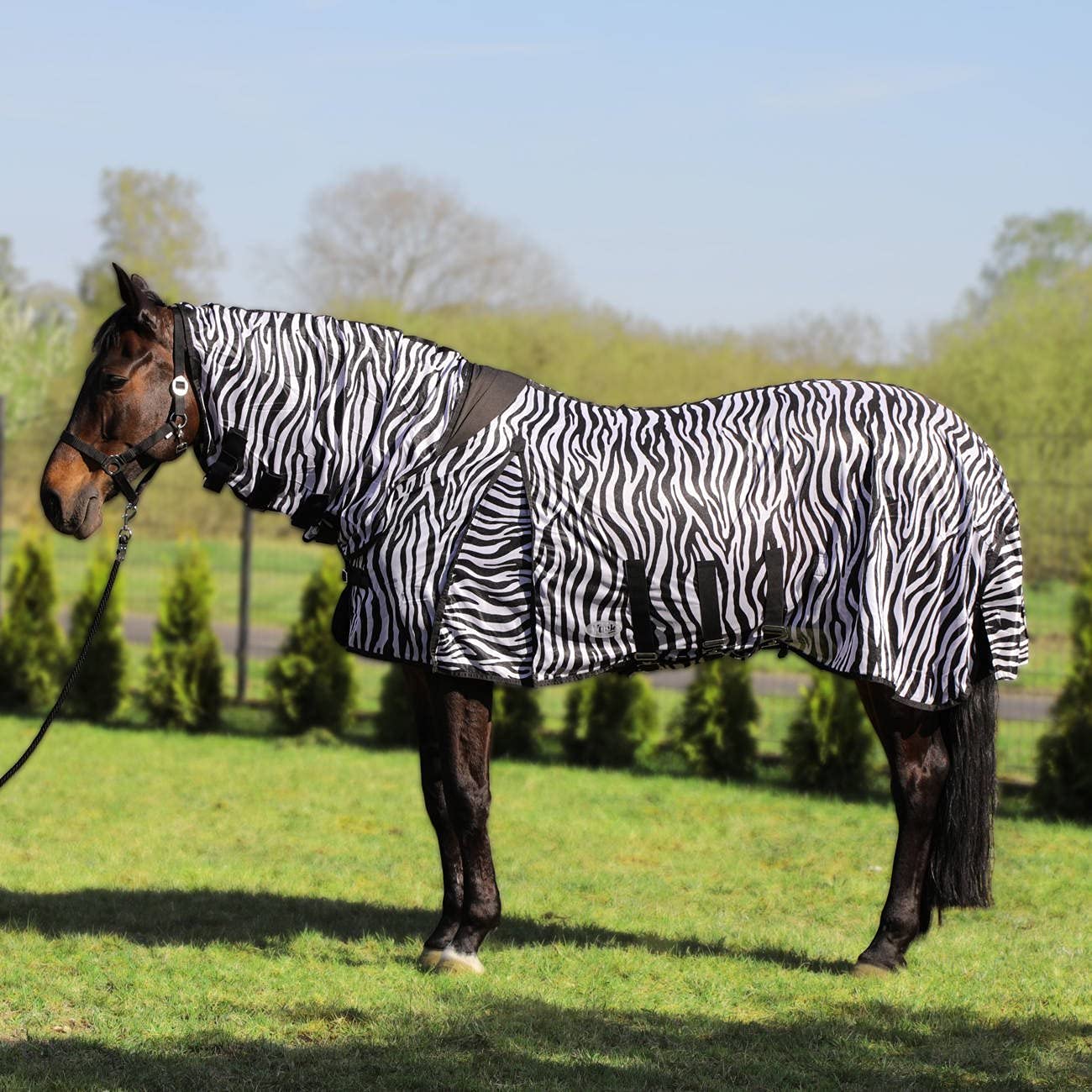 Fliegendecke York Zebra mit Halsteil (115 cm)