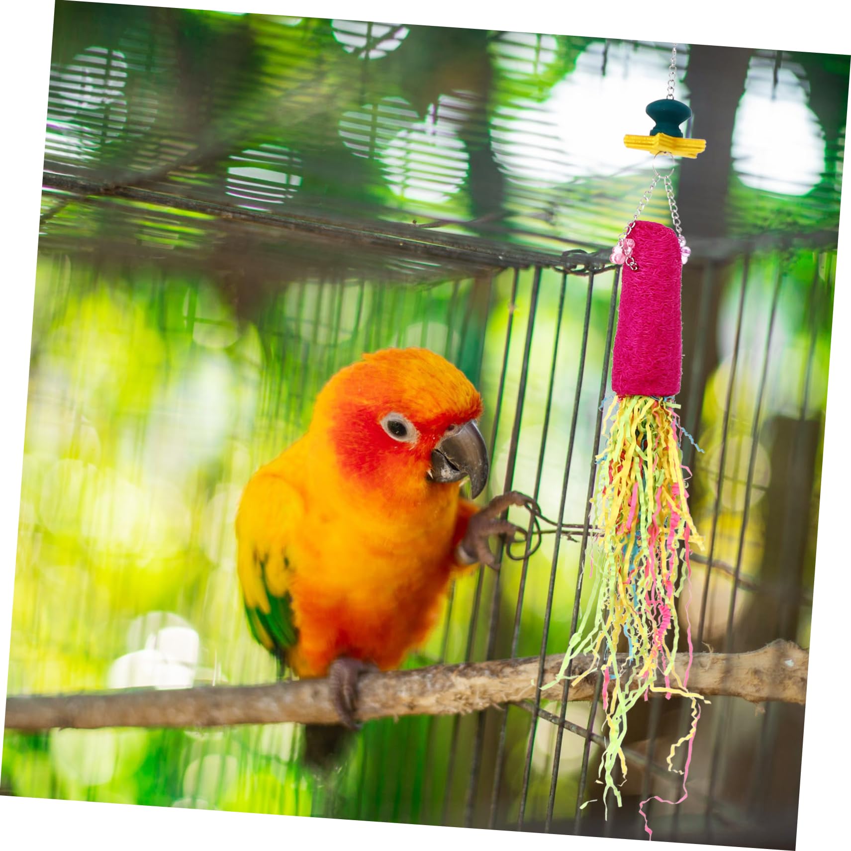 Toddmomy 6piezas Juguete para Aves Juguete De Masticar para Periquitos y Accesorios De Entretenimiento Masticar y Desgastar