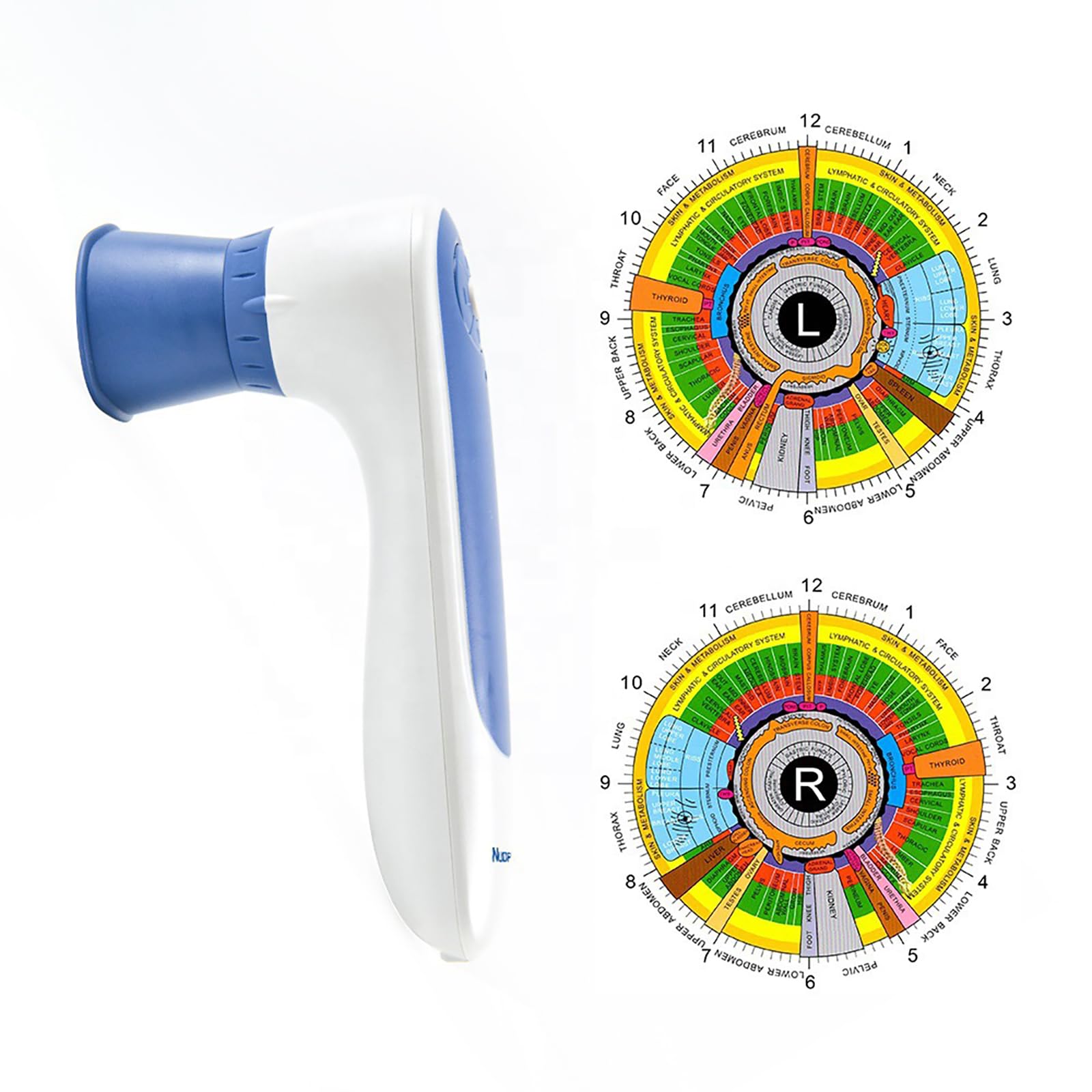 Iris-analysekamera, Multifunktions-iris-analysegerät Mit Software, Hd-auflösung Mit 12 Megapixeln, Für Kosmetikstudios, Spas Und Zuhause