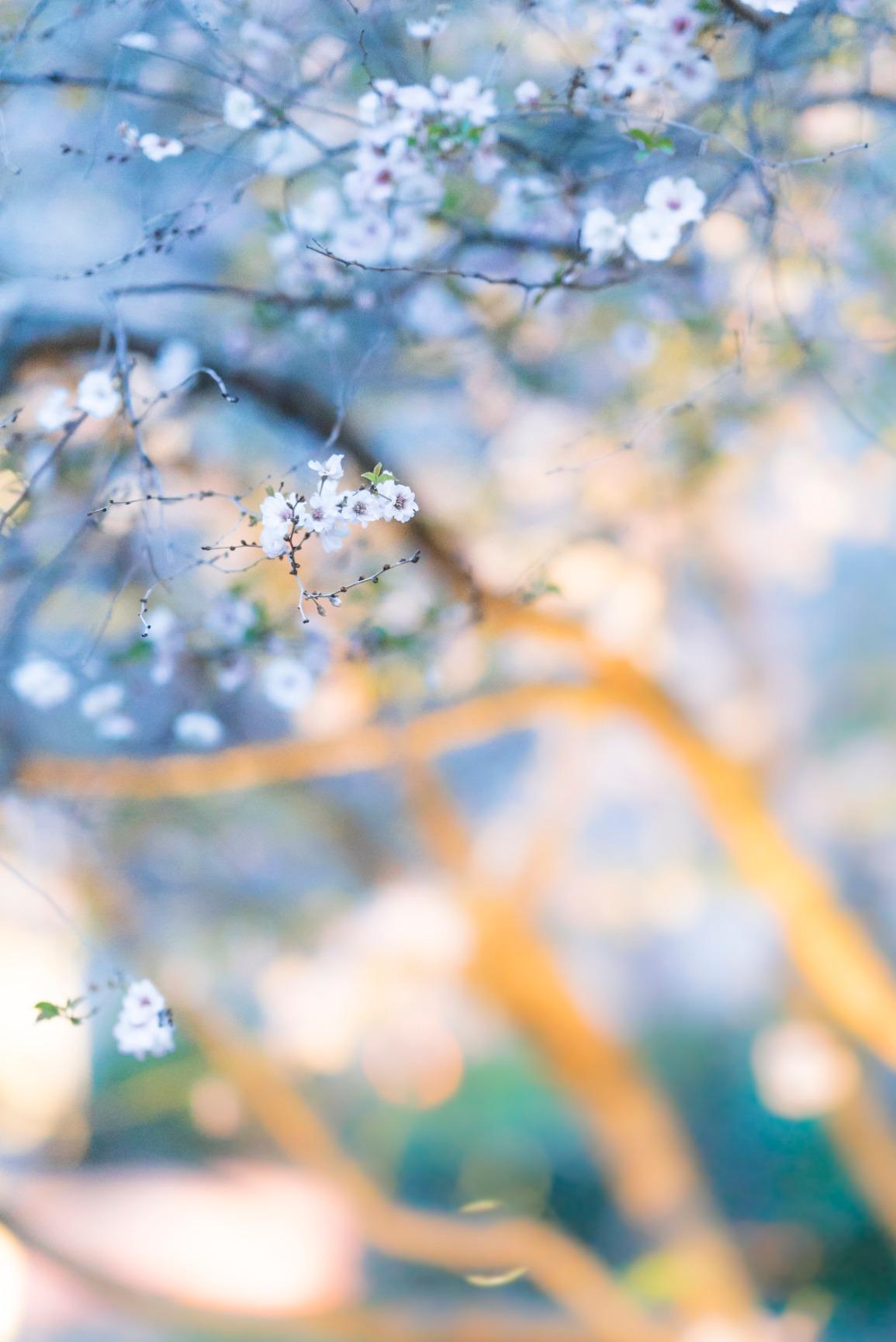 The most light sensitive camera in the world!