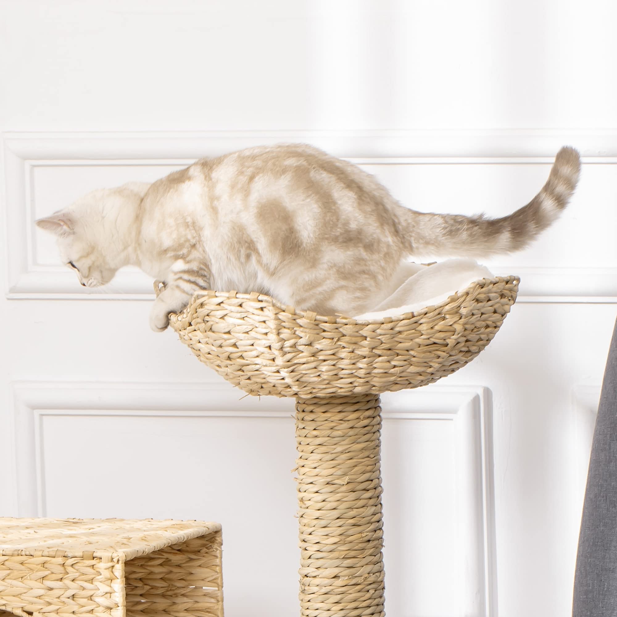PawHut Arbre à Chat Arbre à Grimper Griffoir pour Chat Hauteur 100,5 cm | avec Coussins, Échelle, Centre d'Activités, Poteaux en Quenouille