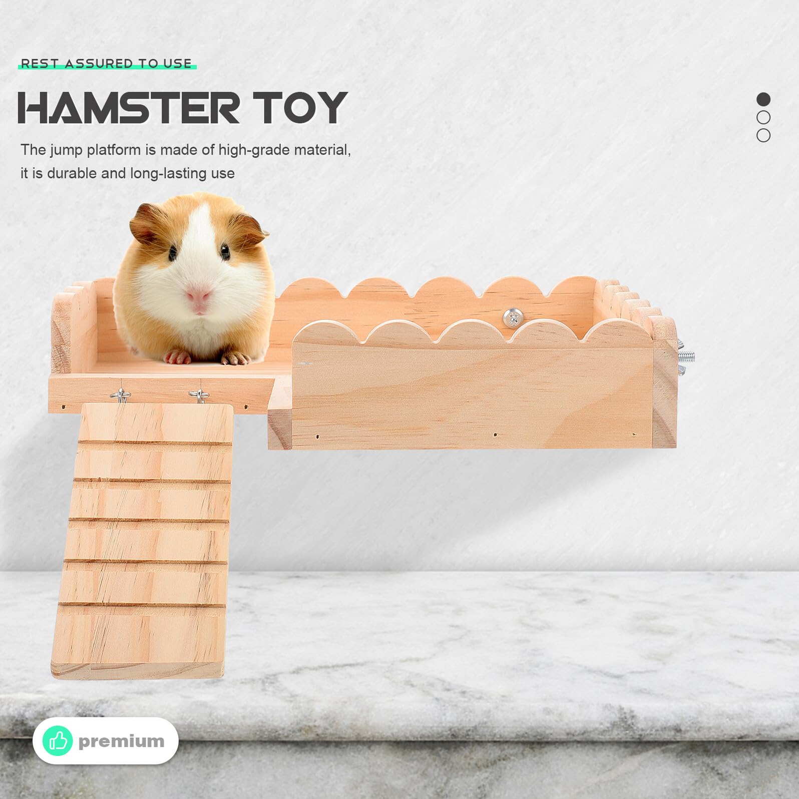 LALAFINA Hamsterplattform Spielzeug aus Synthetischem Material mit Leiter und Schraubmontage Glatte Oberfläche und Abgerundete Kanten für Käfig und Kleintierhaltung