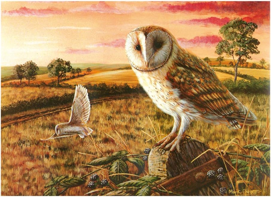 Owl Large Glass Worktop Protector 40X50Cm