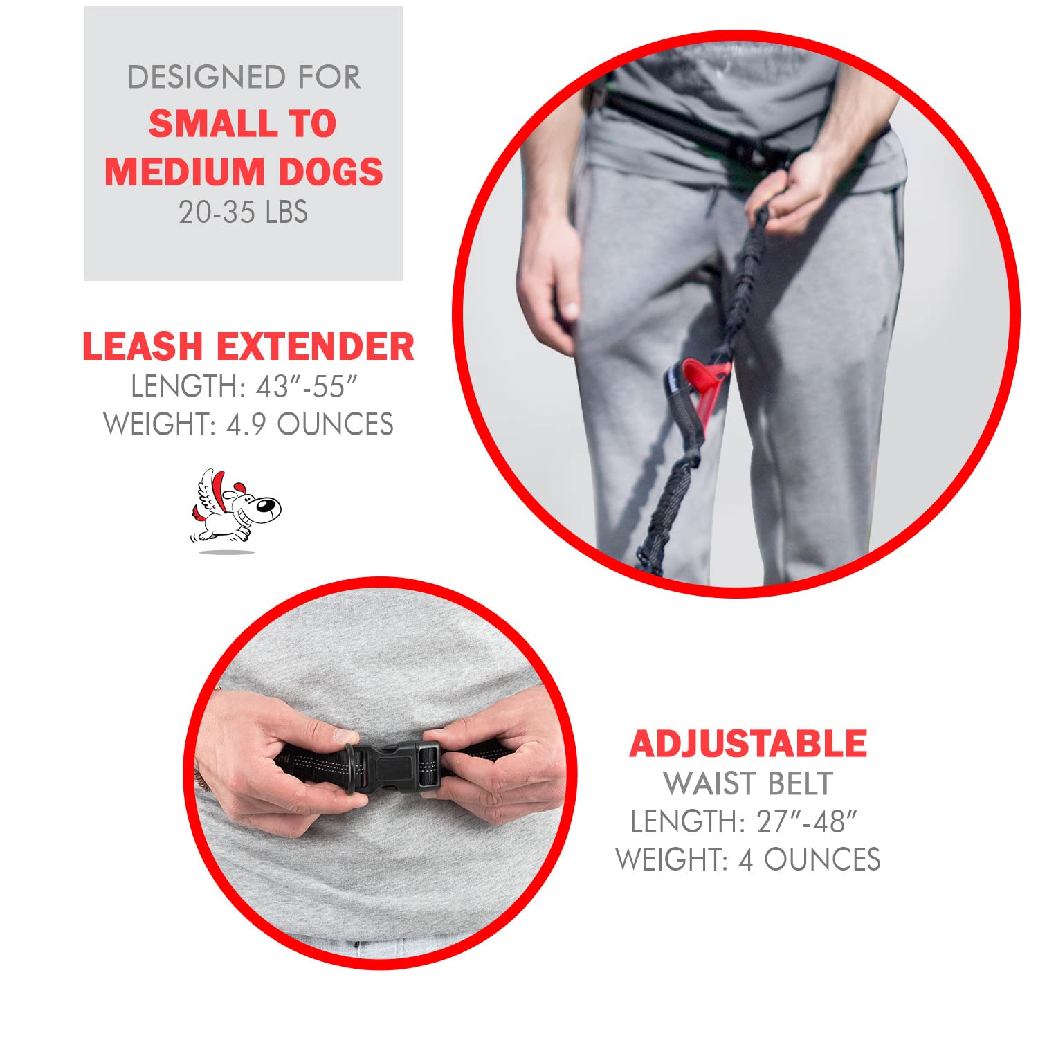 Laisse rétractable mains libres avec système triple élastique parfait pour la course, la marche ou le jogging avec votre chien (disponible pour petits ou grands chiens)