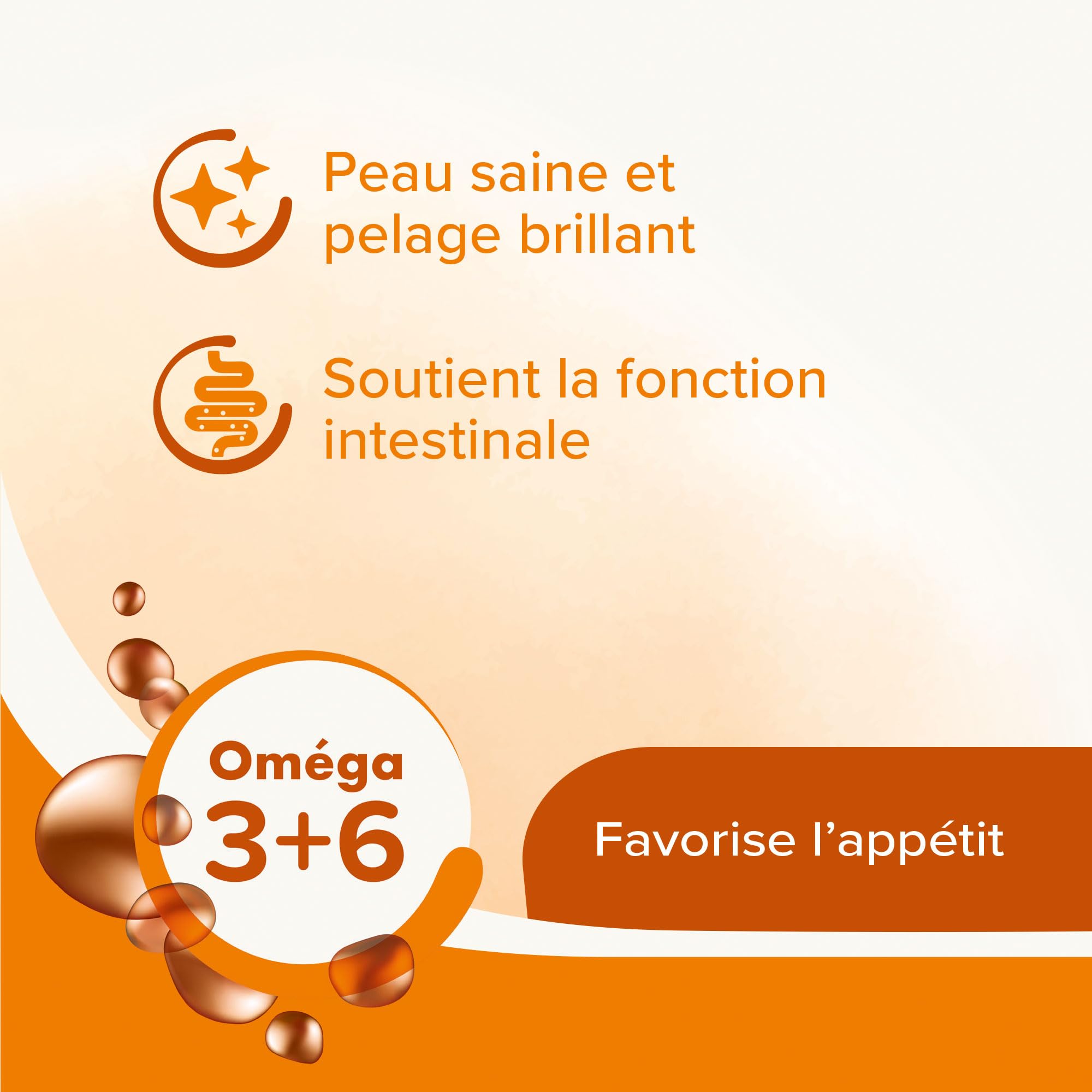 BEAPHAR – Graisse de Mouton pour Chien – Aliment Complémentaire – Omégas 3 et 6 – Bénéfique pour la Fonction intestinale, Le Pelage et la Peau – Énergie et Vitalité – Favorise l'appétit – 430 ML