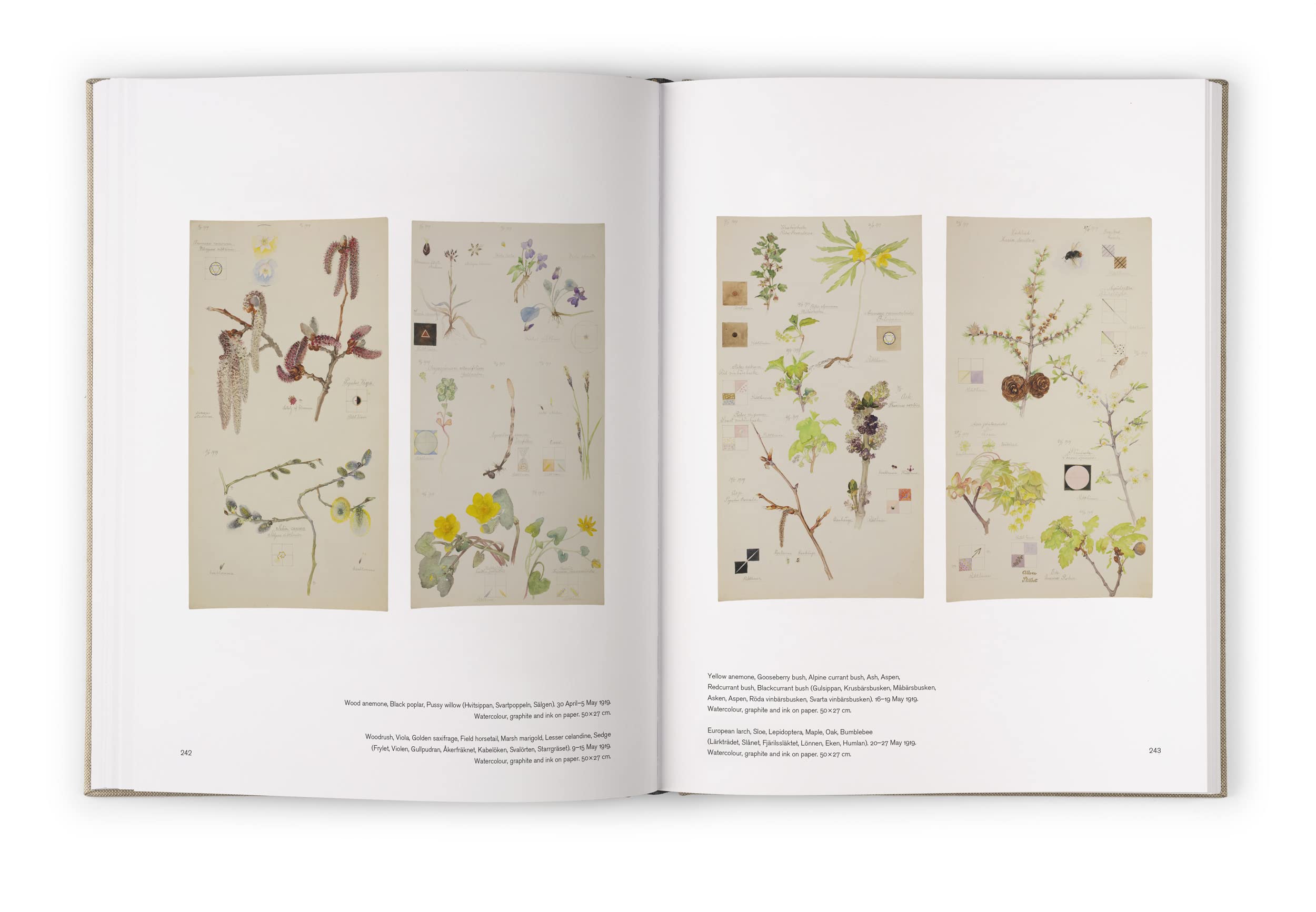 Hilma af Klint: The Landscapes, Portraits and Botanical Works (1886-1940) Catalogue RaisonnE volume