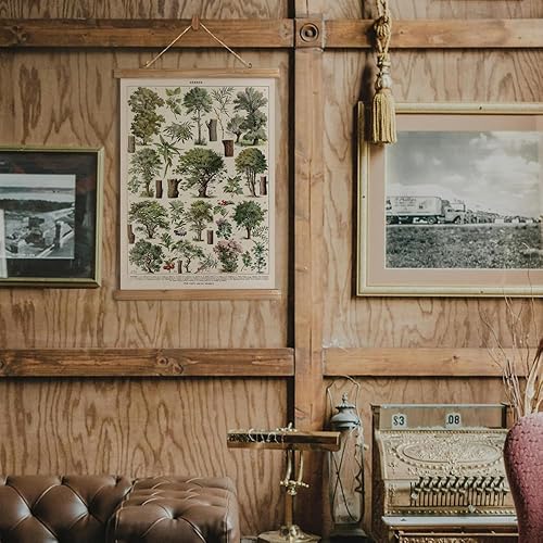 Miniatura 6 de MIDEFINCH Juego de arte de pared botánico vintage, juego de 2 ilustraciones retro de árbol y plantas, pósteres colgantes con marco de madera para