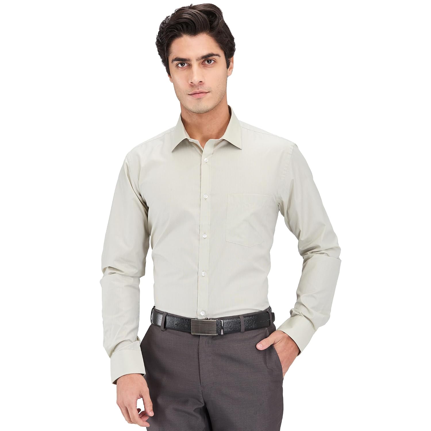 Park Avenue Men Cotton blend Slim Fit Stripe Pattern Semi Cutaway Collar Formal Shirt