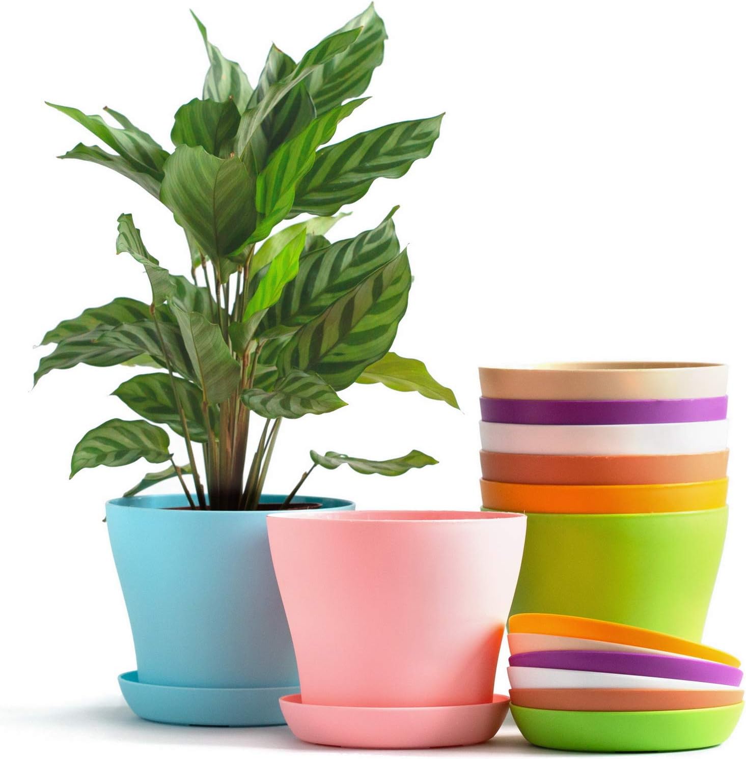 TRUEDAYS 5.5" Plastic Flower Seedlings Nursery Pot/Planter/Flower Pot with Pallet 8 Colors,All