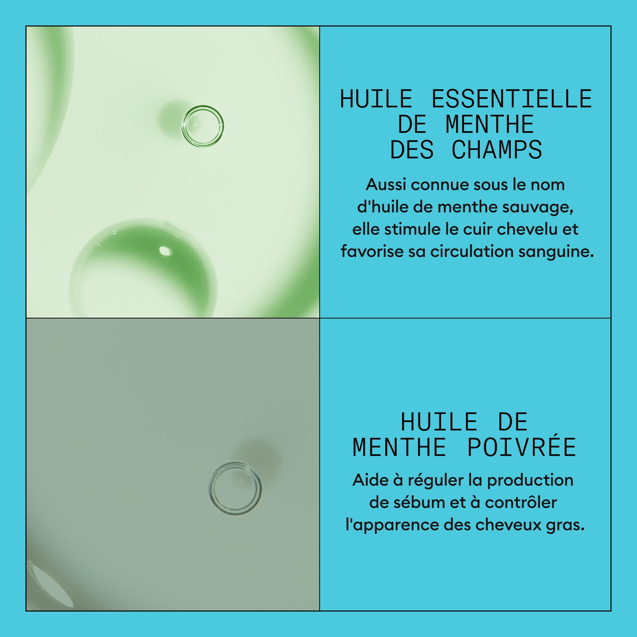 NIOXIN System 3 - pour Cheveux Colorés, Secs et Abîmés, Chute Modérée - Kit/Shampoing/Après-Shampoing/Soin pour Cuir Chevelu