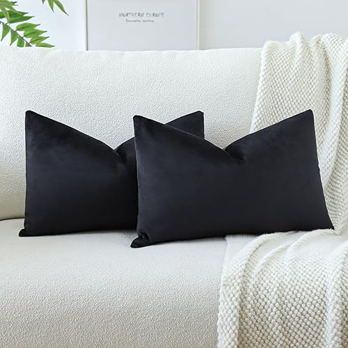 OTOSTAR - Juego de 2 fundas de almohada de terciopelo suaves y decorativas de estampado liso de 16 x 24 pulgadas, fundas de cojín lumbar para sofá,