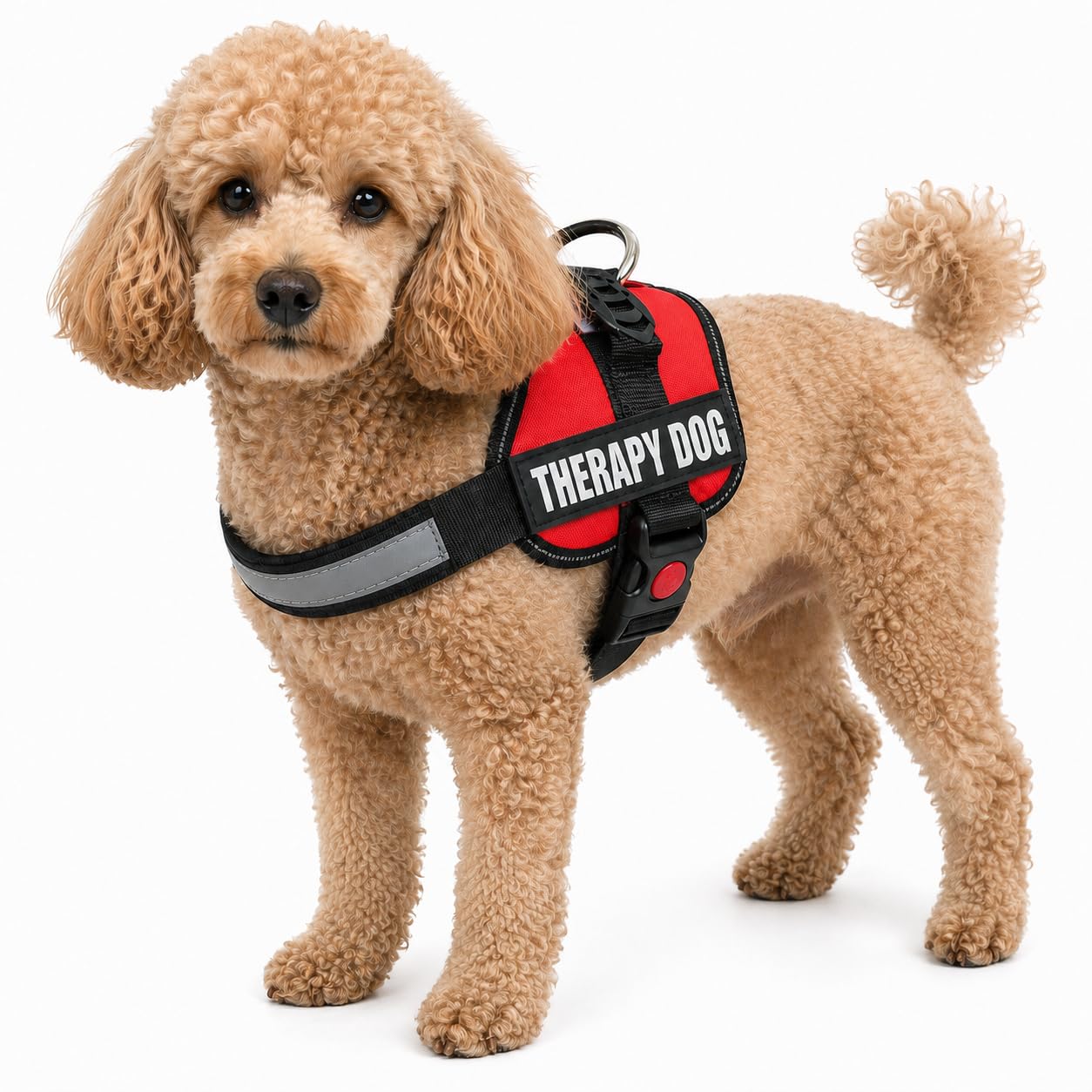 Albcorp Arnés Reflectante para Perro, de Nailon, Chaqueta de Animal de Servicio Ajustable, con 2 Parches extraíbles para Perros de Terapia de, Rojo, Extra pequeño