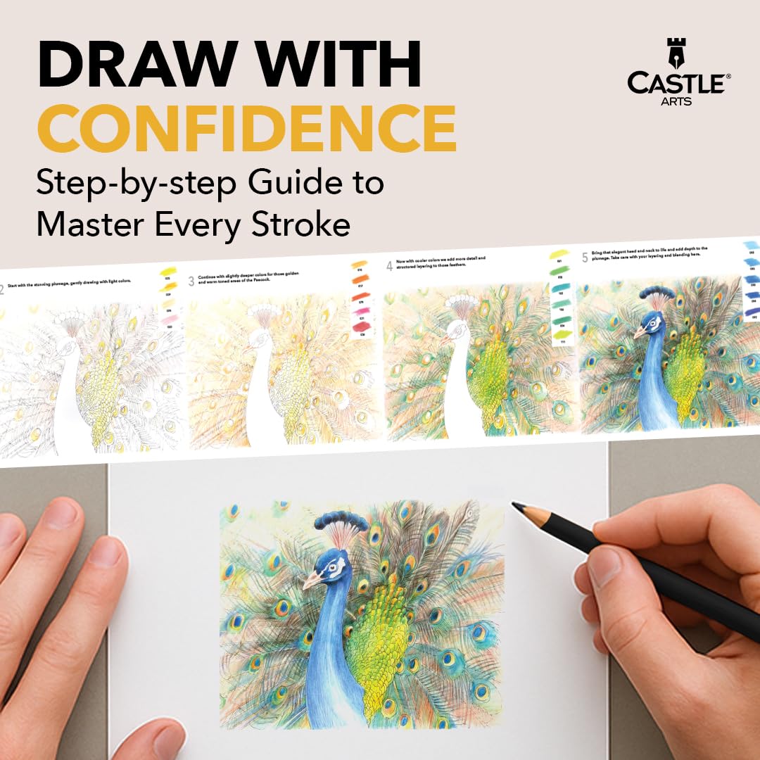 Castle Art Supplies Zestaw 120 kredek akwarelowych | Jakość żywych pigmentów | Rysuj i maluj w tym samym czasie | Dla dorosłych artystów i profesjonalistów | Chronione i zorganizowane w puszce