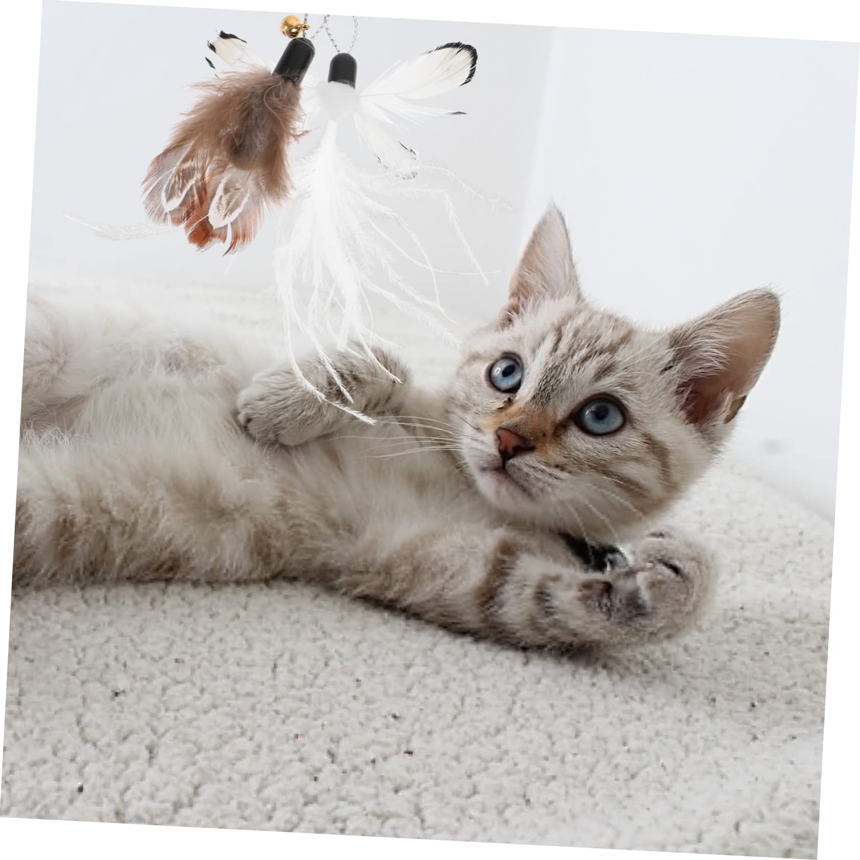 INOOMP Teaser Katze 30 Stk Ersatzkopf Für Katzenangel Nachfüllpackung Für Katzenspielzeug Spielzeuge Angelrute Für Katzen Katzenspielzeug Zauberstab Übungsspielzeug Für Katzen Plastik Insekt Schüttgut