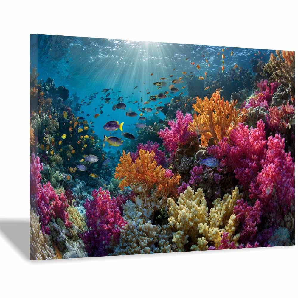 HOQIU Vintage wall art Vibrants Corals Reef decorative painting, wall art, for Living Room Bathroom Bedroom Kitchen Decoration.(Multicolor)-30x40cm Framed