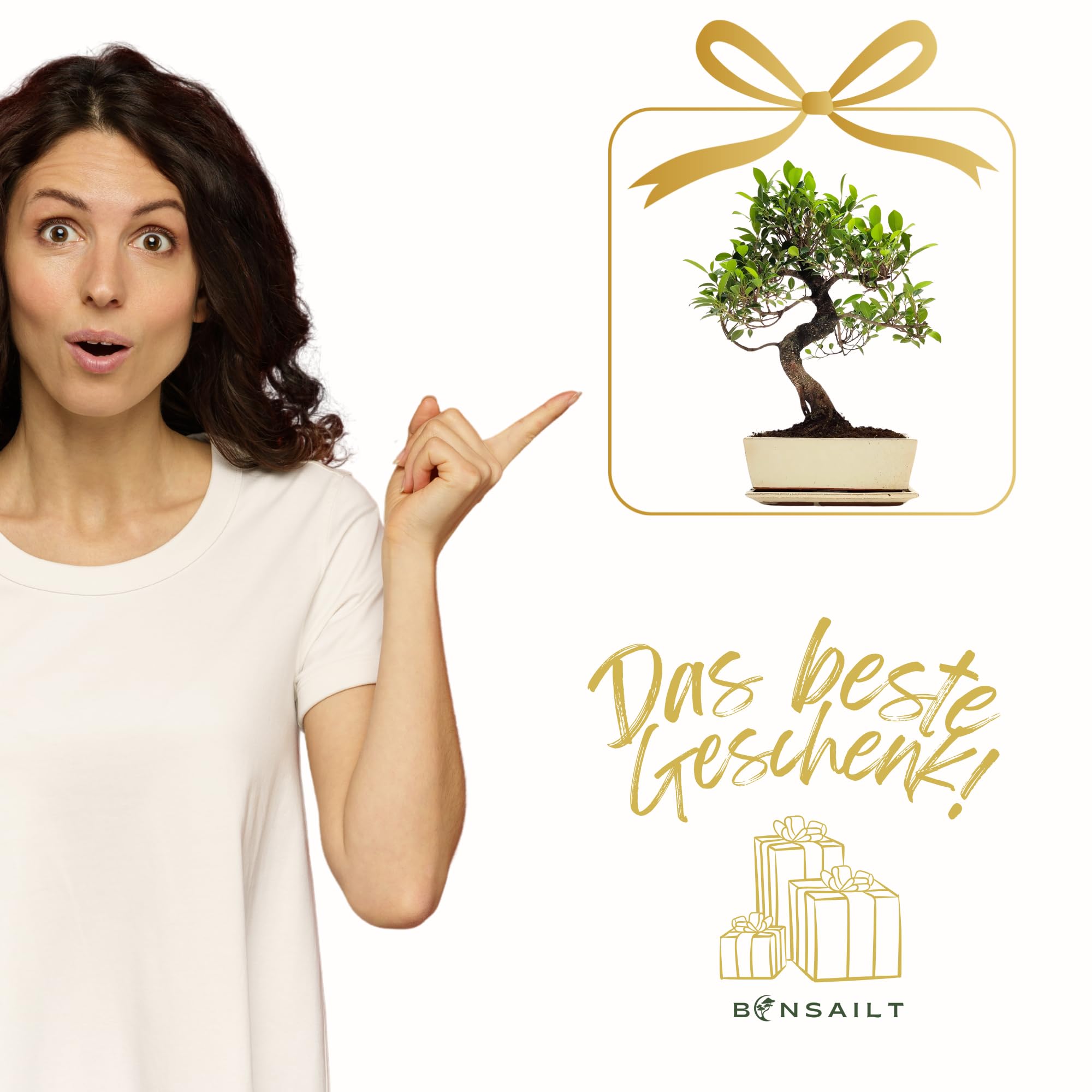Bonsaï Ficus en pot céramique 45-50 cm plante intérieur cadeau