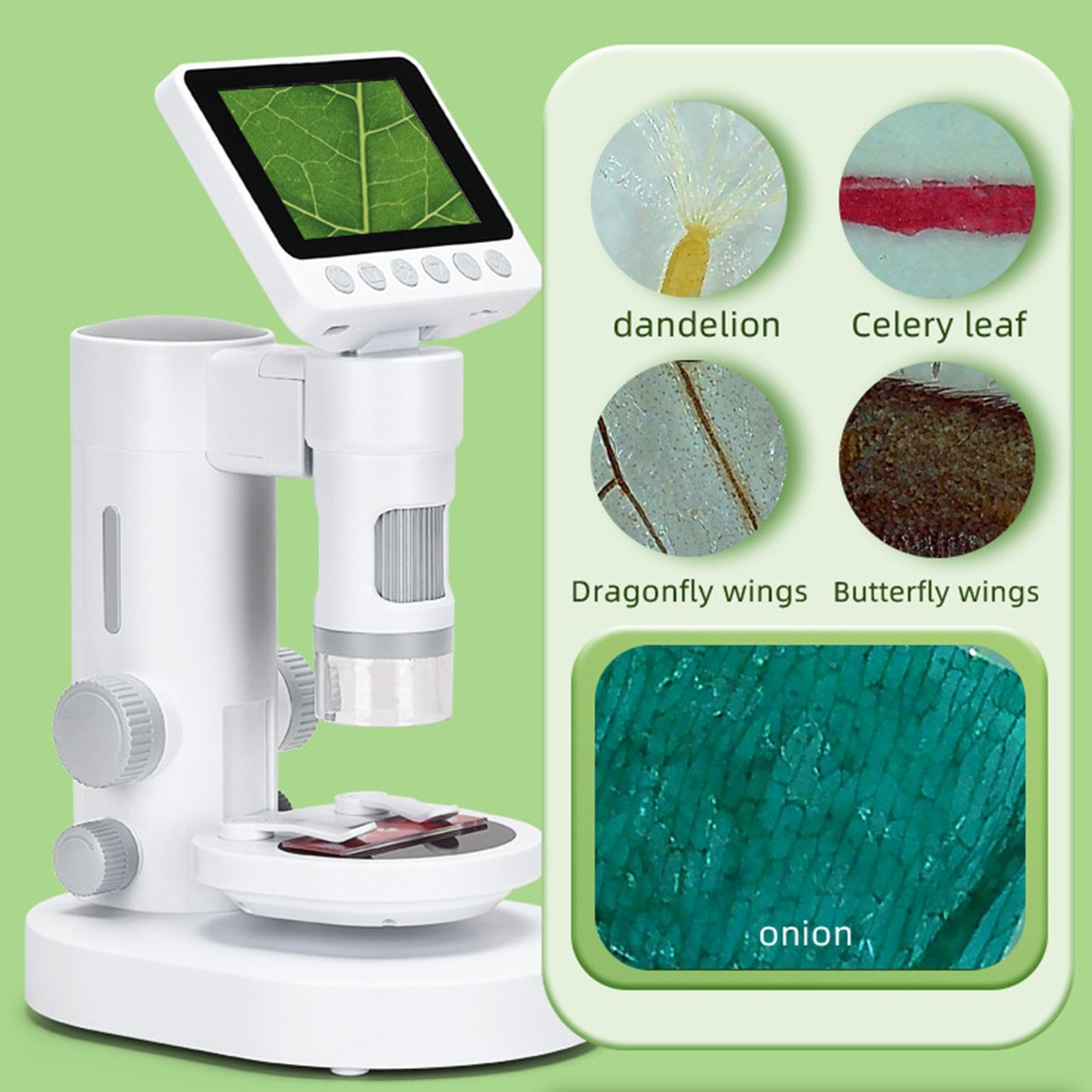 Microscopio per Bambini 100X-1000X Giocattolo per Esperimenti Scientifici | Microscopio Digitale Portatile per Ragazzi Ragazze Studenti Appassionati di Scienza Homeschooling Scuola