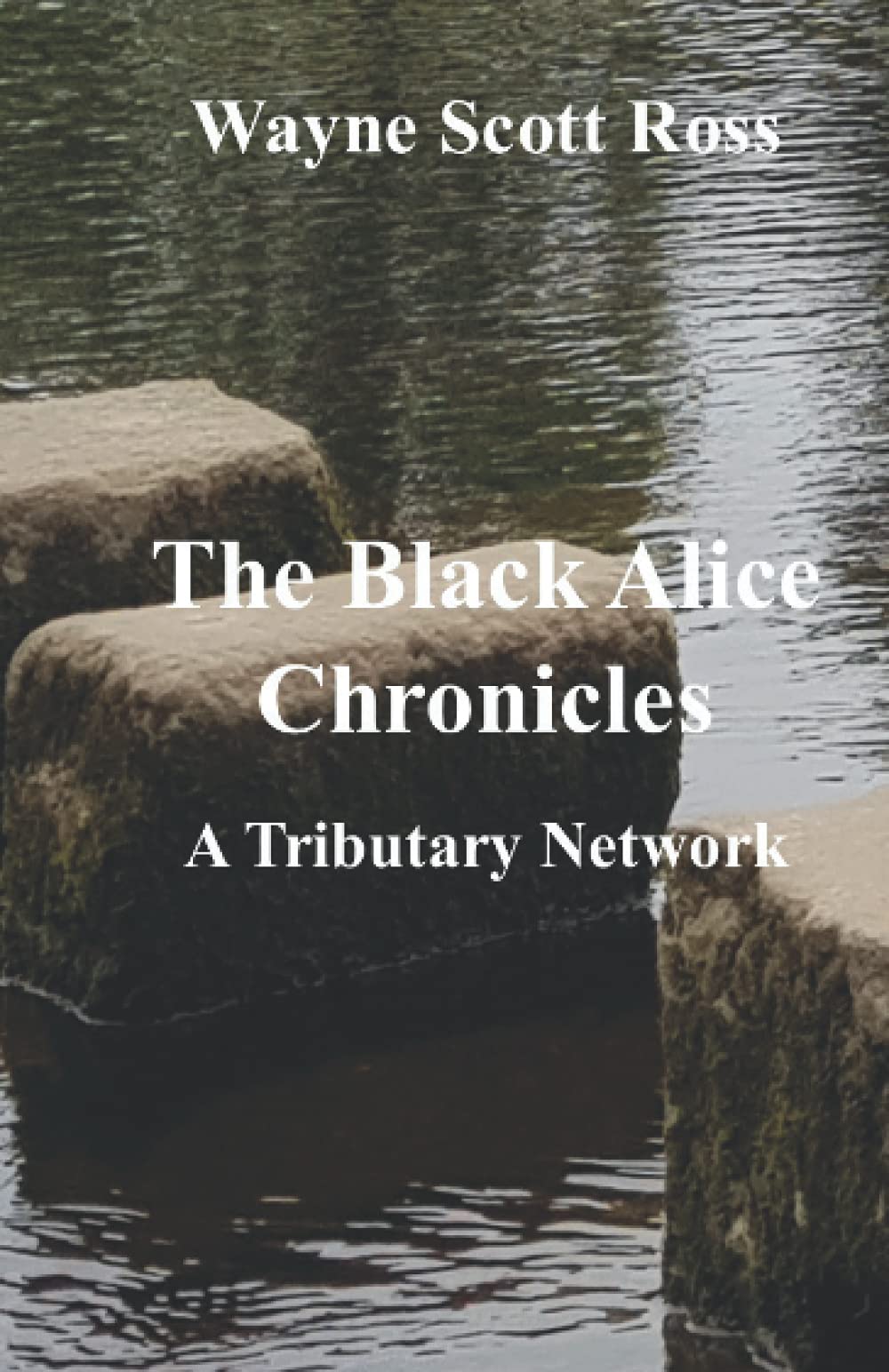 The Black Alice Chronicles: The Tributary Network