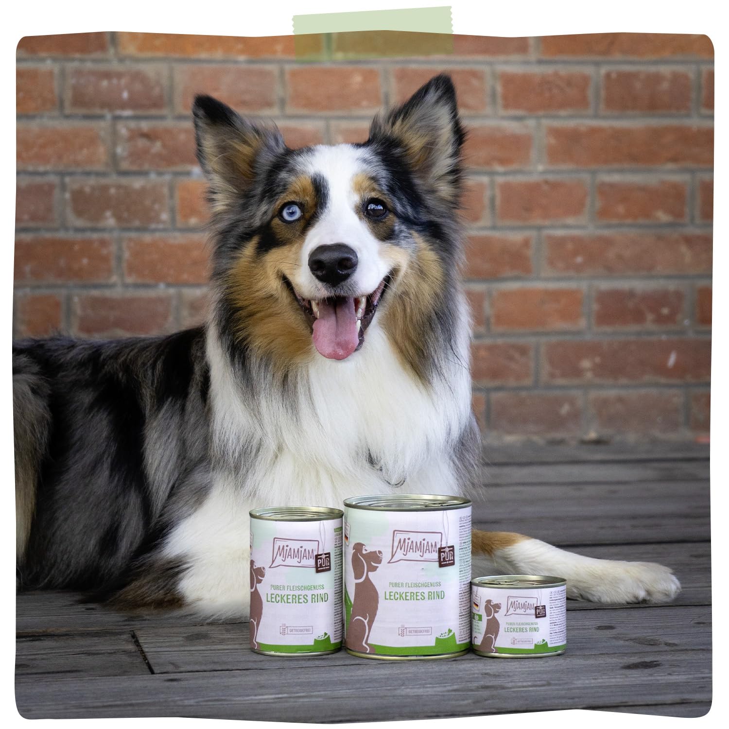 MjAMjAM - Mokra karma Premium dla psów - Czysta mięsna przyjemność - pyszna czysta wołowina, 6-pak (6 x 400g), bezzbożowa z dodatkowym mięsem