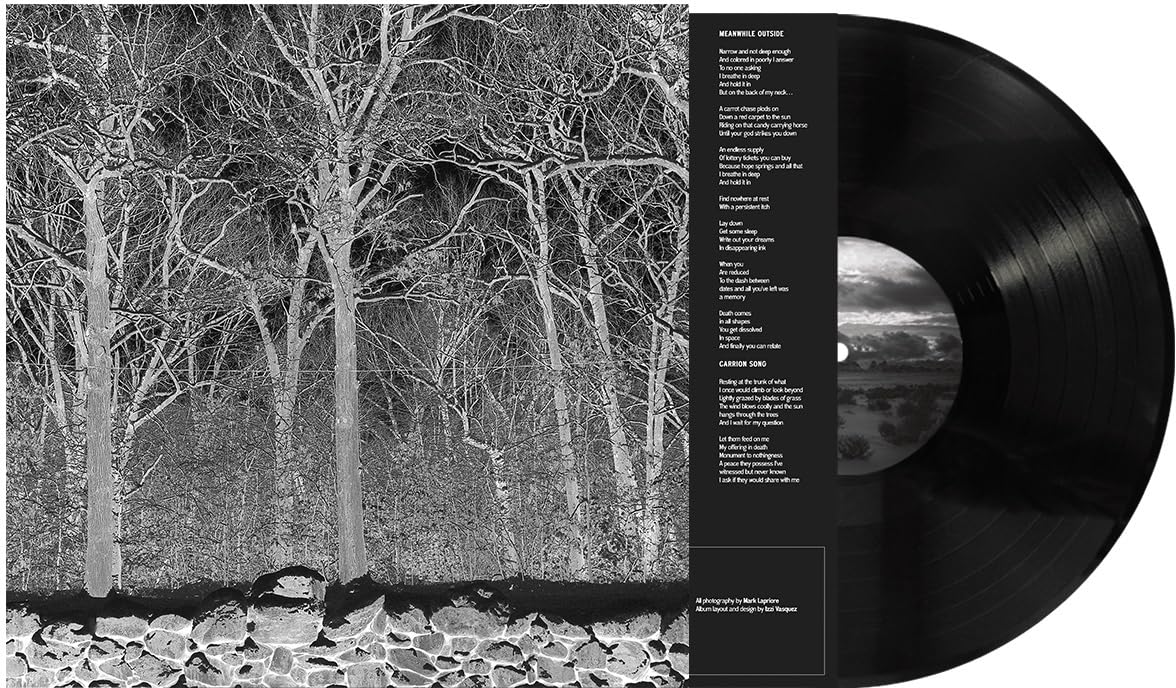 Sunshine and Balance Beams [VINYL]