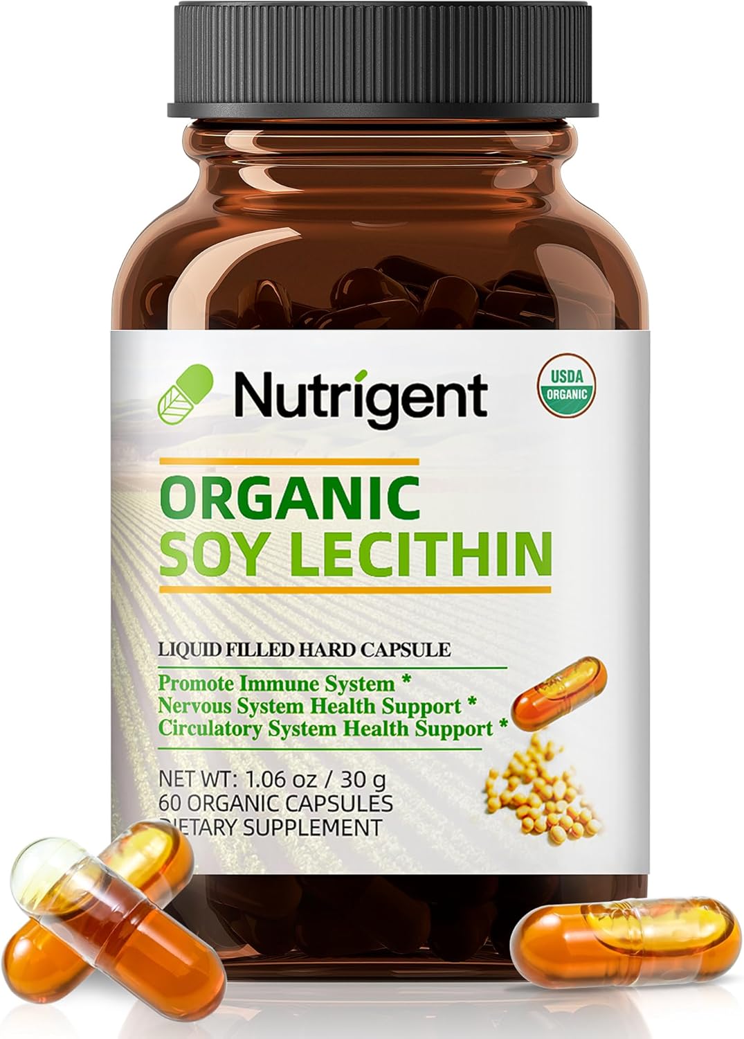 USDA Organic Soy Lecithin Supplement 800 mg, High Absorption Liquid Organic Capsules, Choline Lecithin Supplement for Brain & Liver Health Support, Non-GMO, Gluten Free, 60 Count